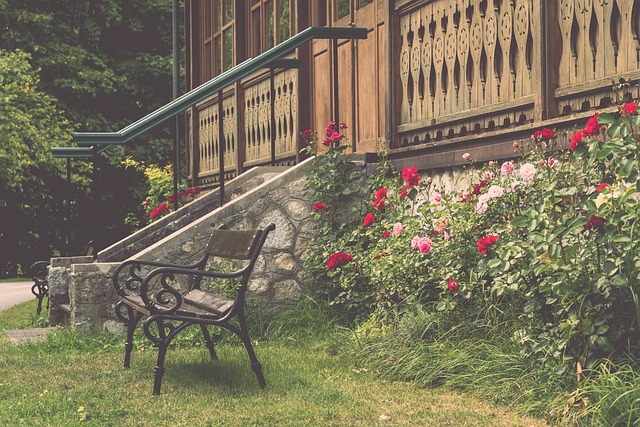 败了宁波队 败了宁波队