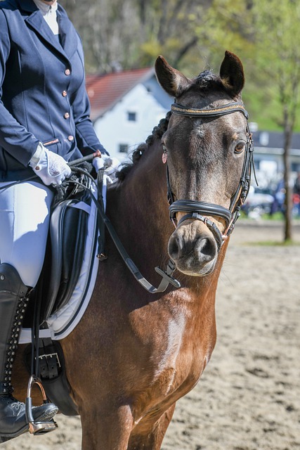 据乃至研究 据乃至研究