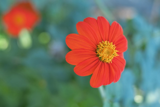 性价比几何 性价比几何