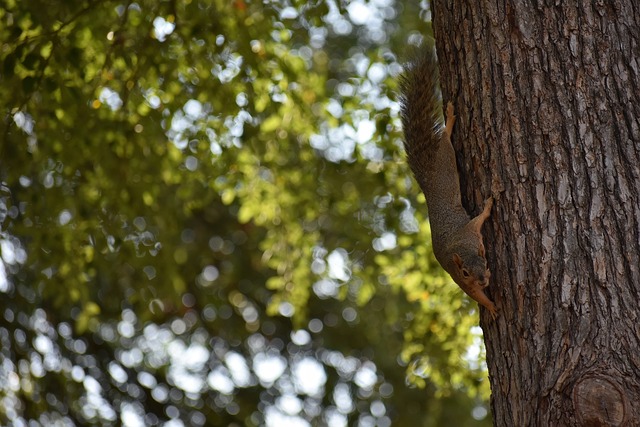 尤其是在冲 尤其是在冲
