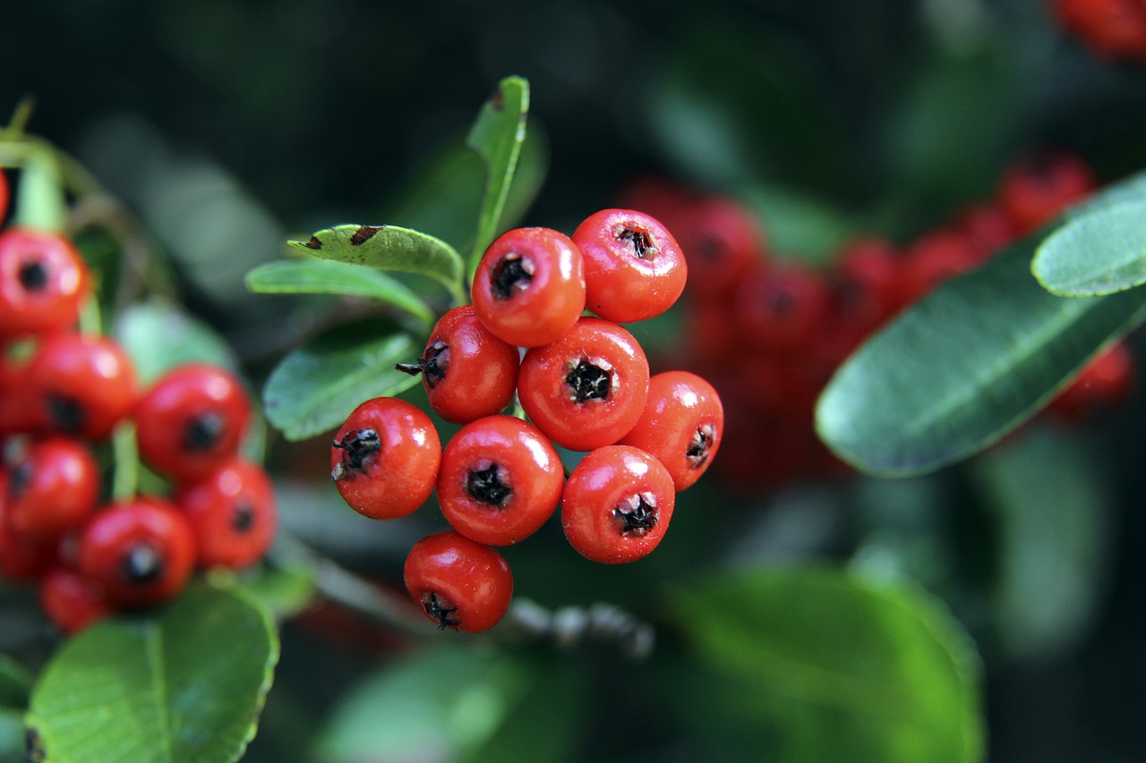 迅猛表现 迅猛表现