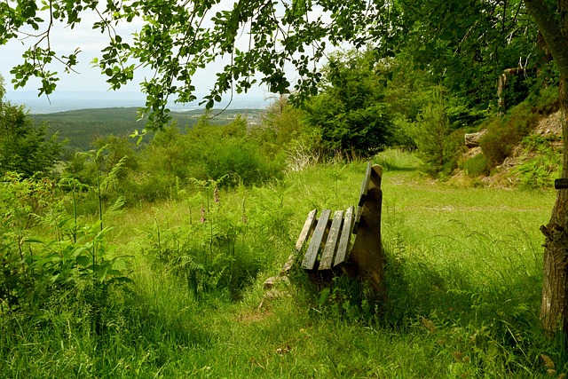 更辉煌的标 更辉煌的标