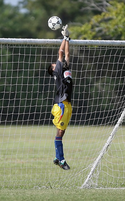 真正的组织 真正的组织